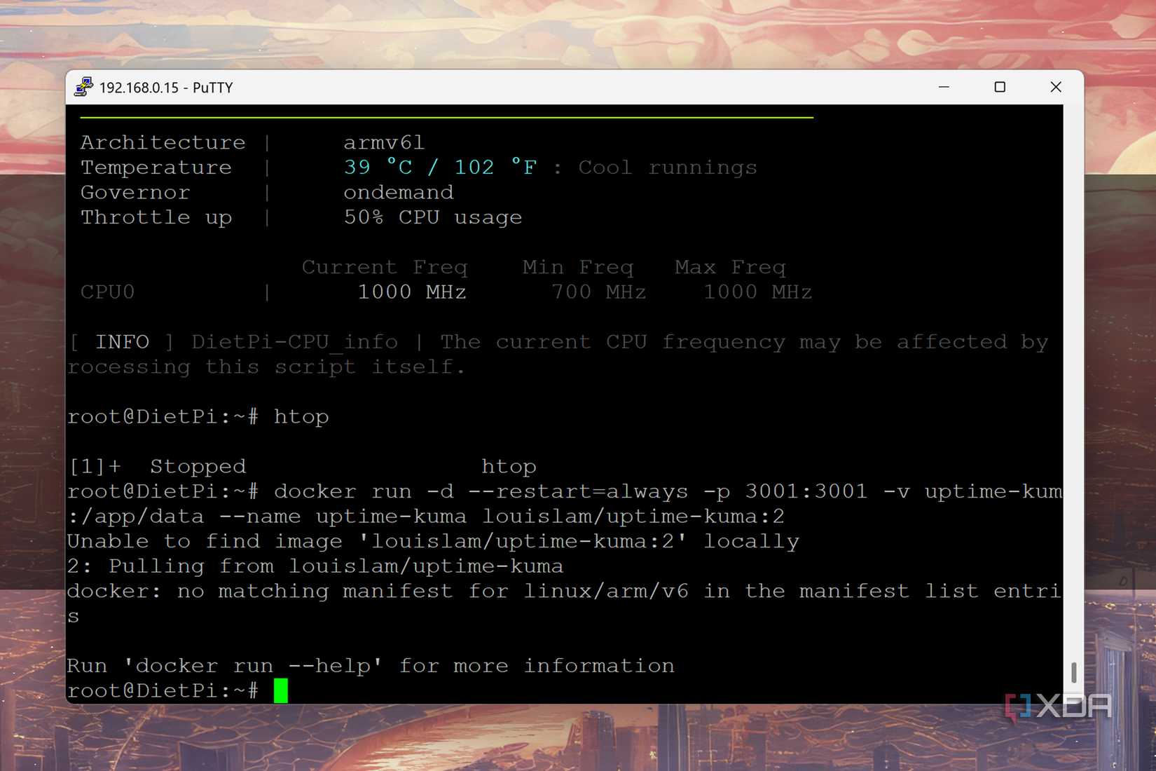 I tried building a cheap Docker server from a Raspberry Pi Zero, but ...
