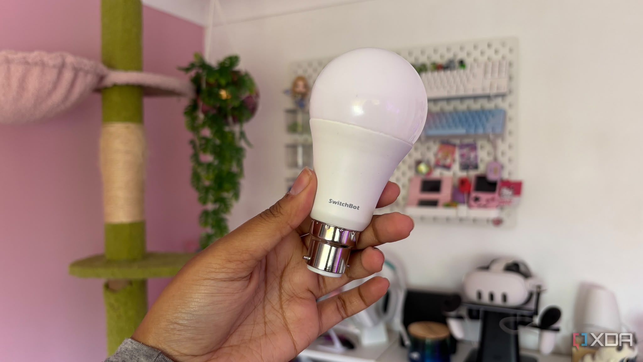 switchbot smart light bulb being held up in front of pink background