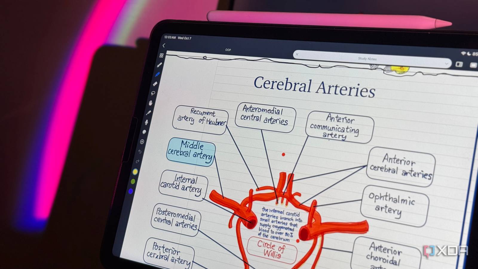 Noteful : l'appli de prise de notes qui a remplacé OneNote et Goodnotes