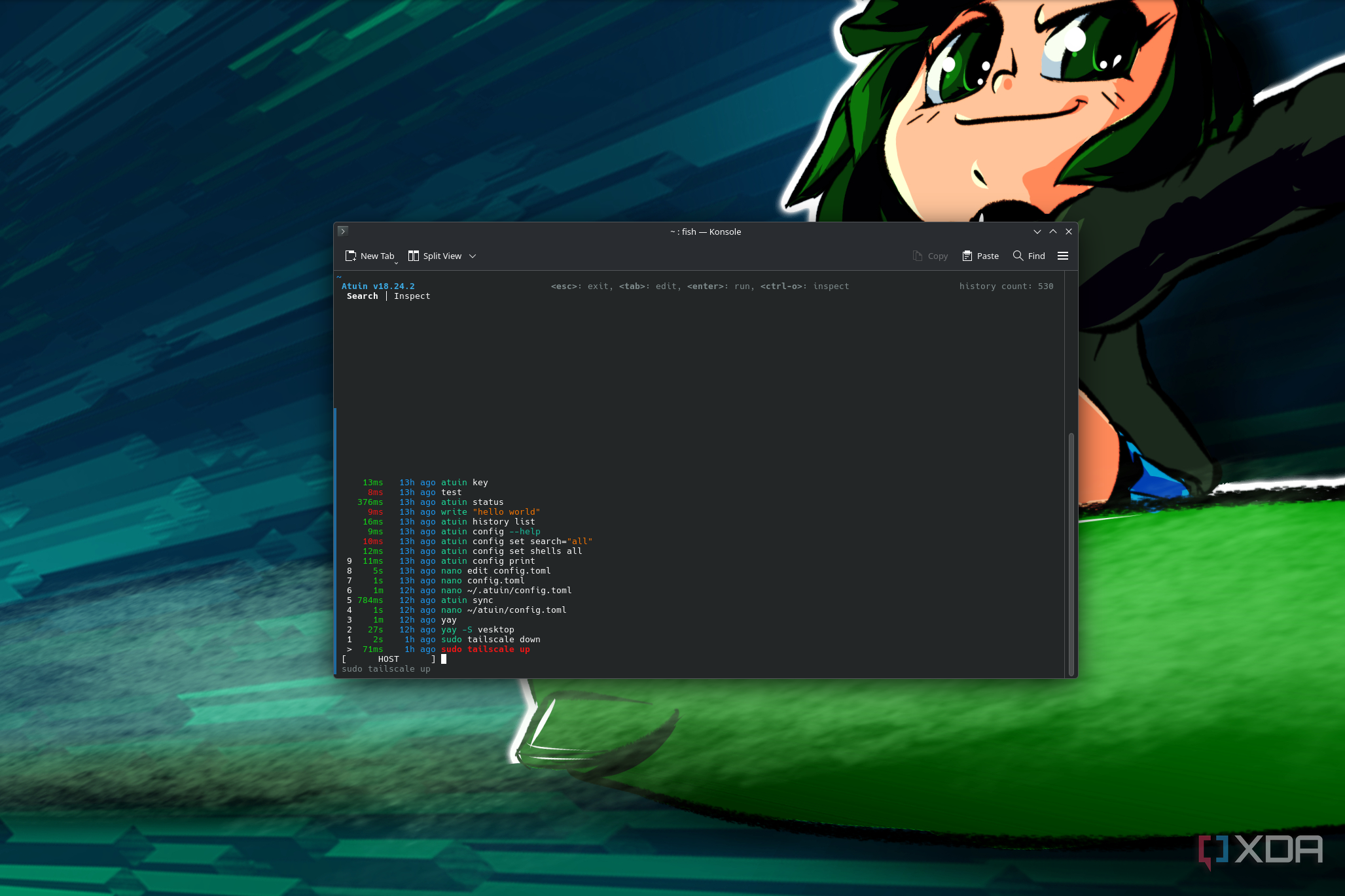 Screenshot of a terminal on Linux showing a history of commands from the current device through Atuin