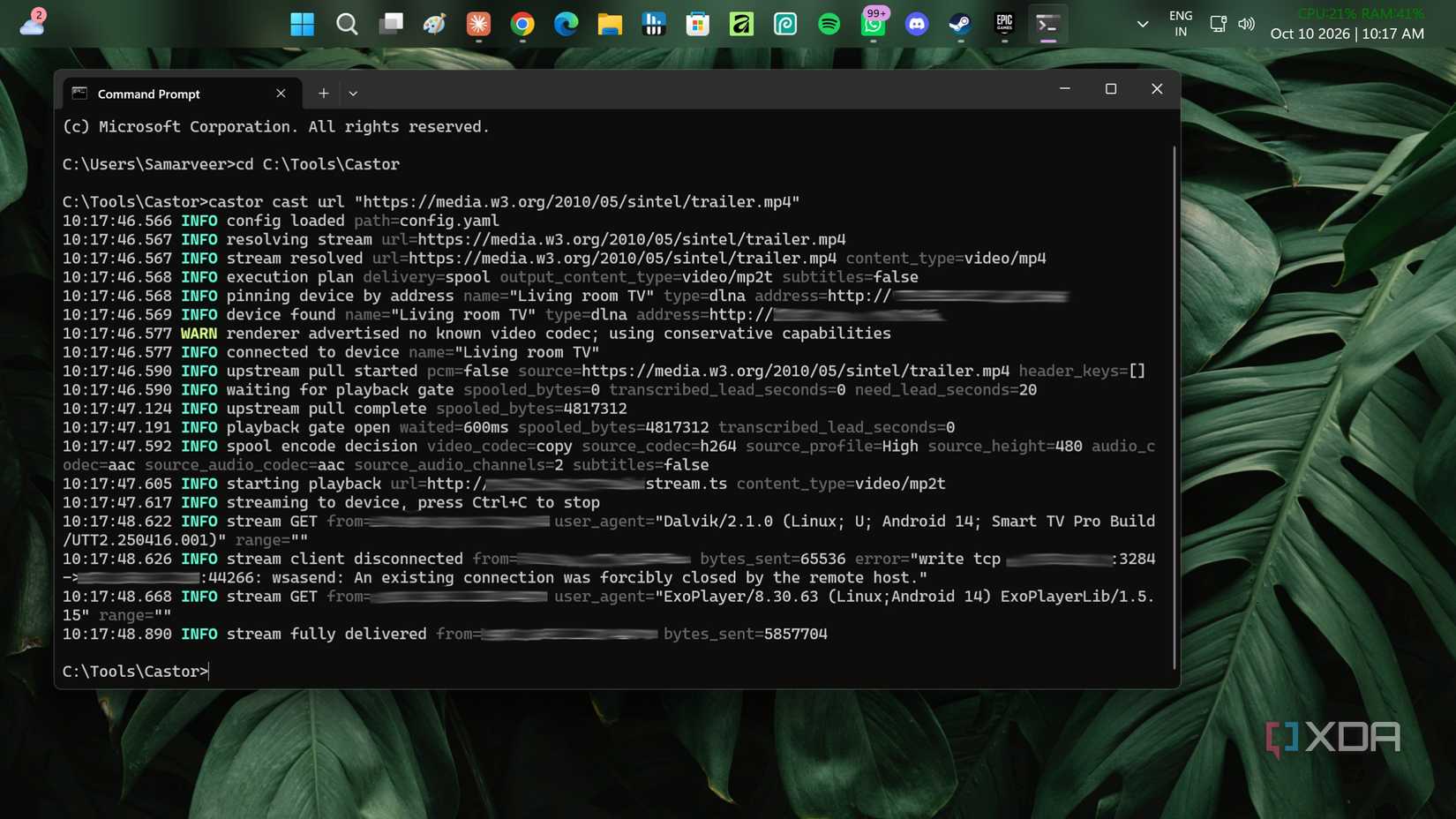 Castor casting URL in terminal to TV.