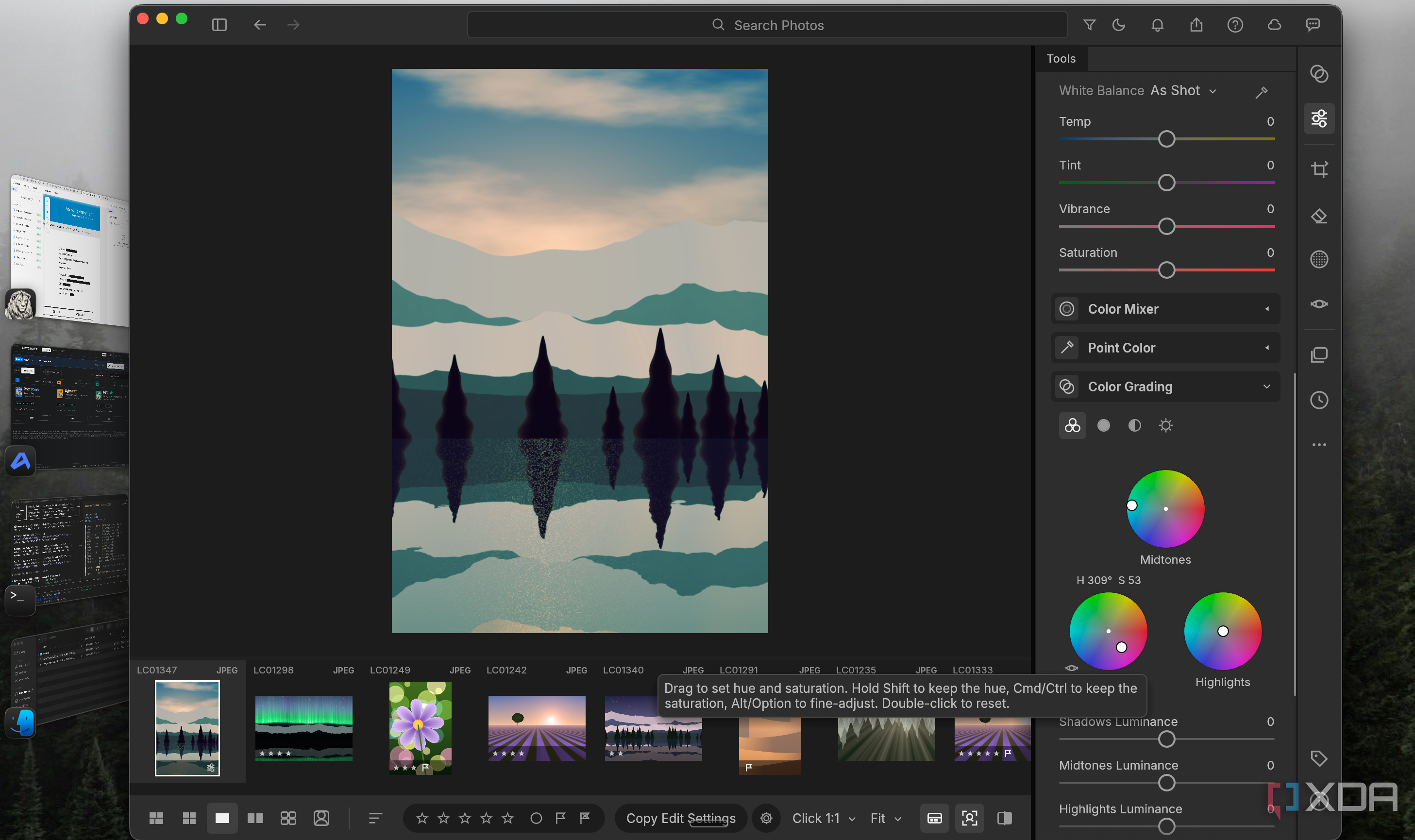 LightCraft color grading a forest lake photo, tinting the trees purple with the shadows wheel