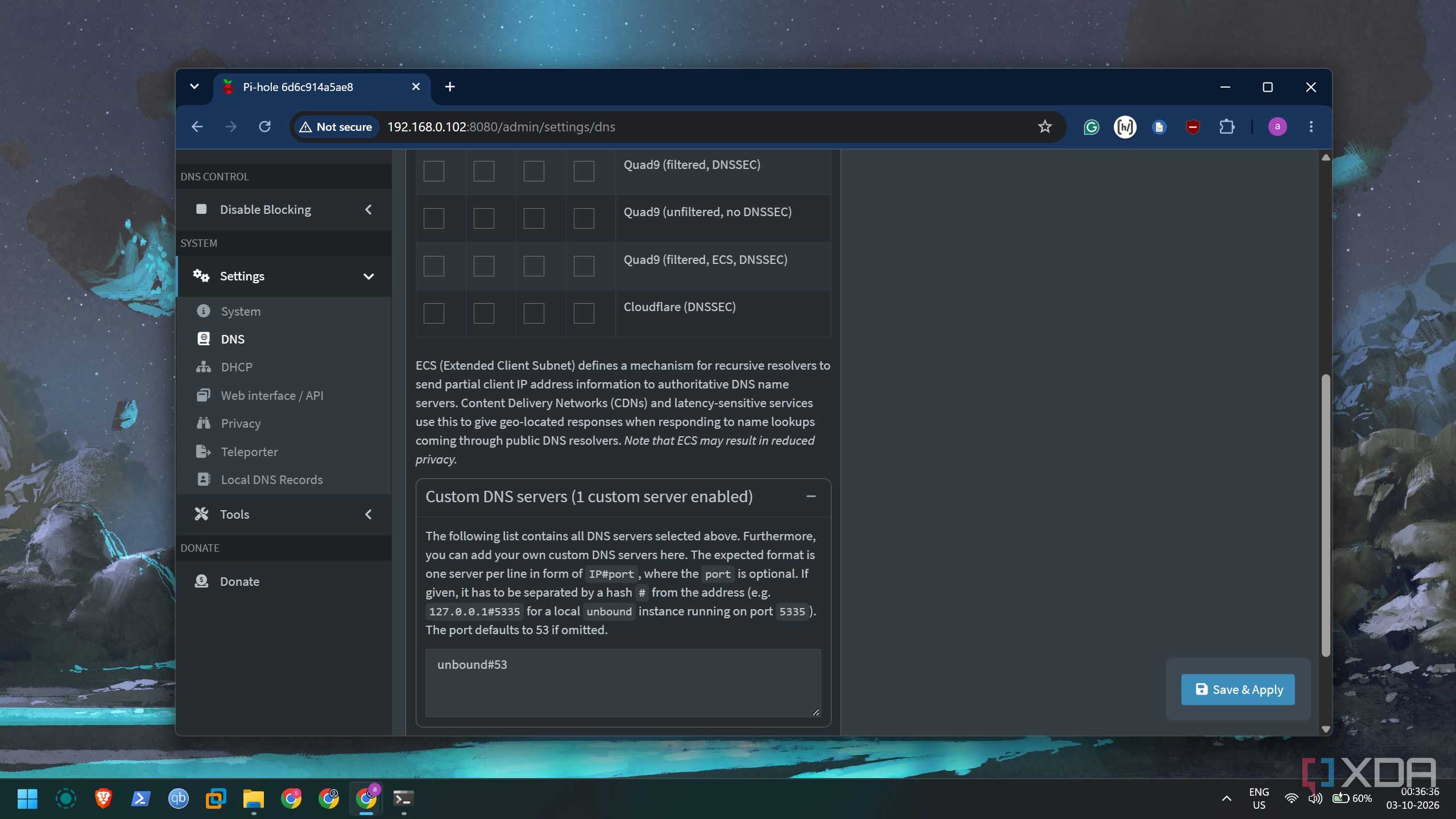 screenshot of pi hole dns