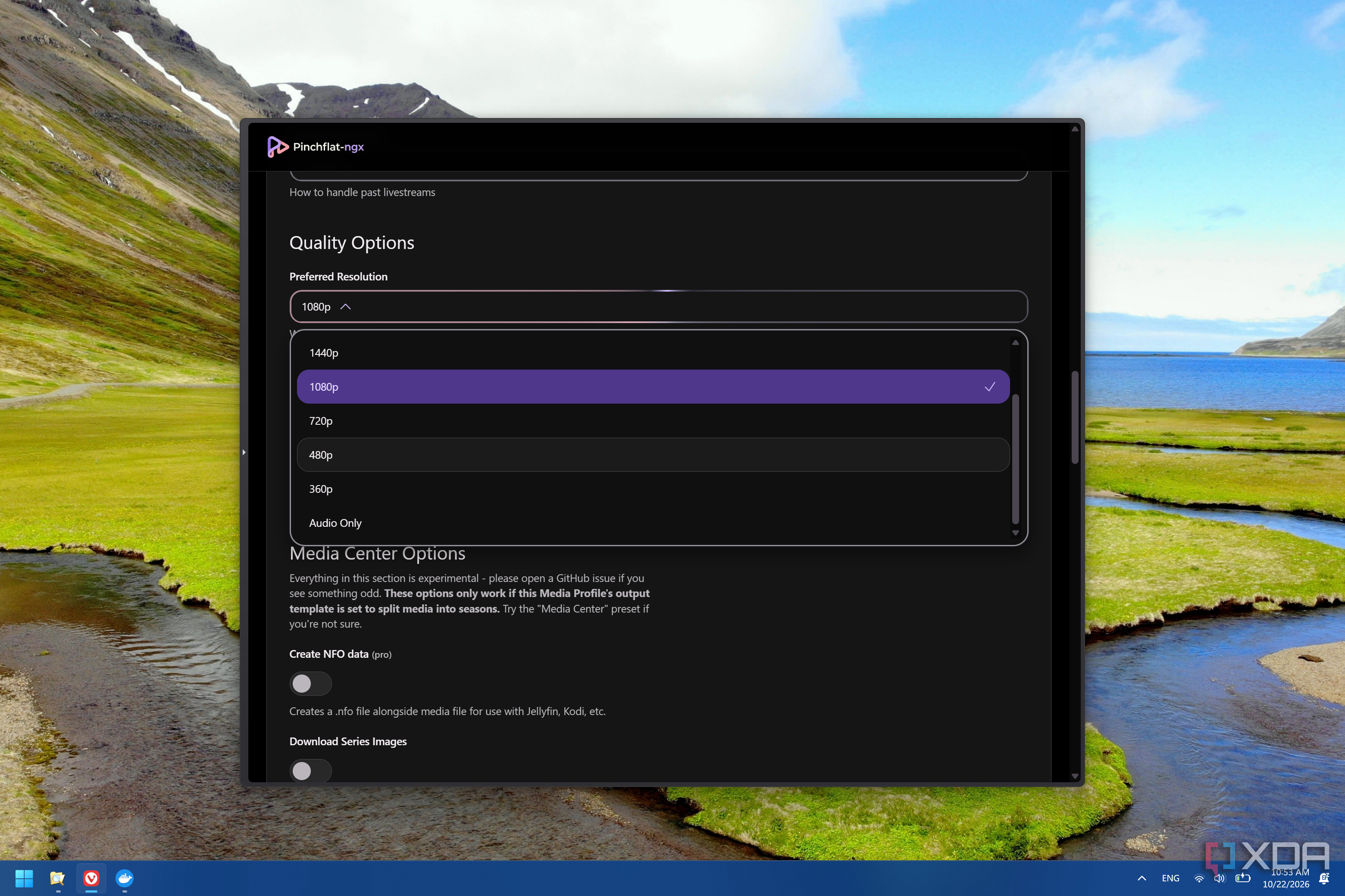Screenshot of Pinchflat-ngx when creating a new media profile, showing the list of quality options to choose from, including an audio-only setting