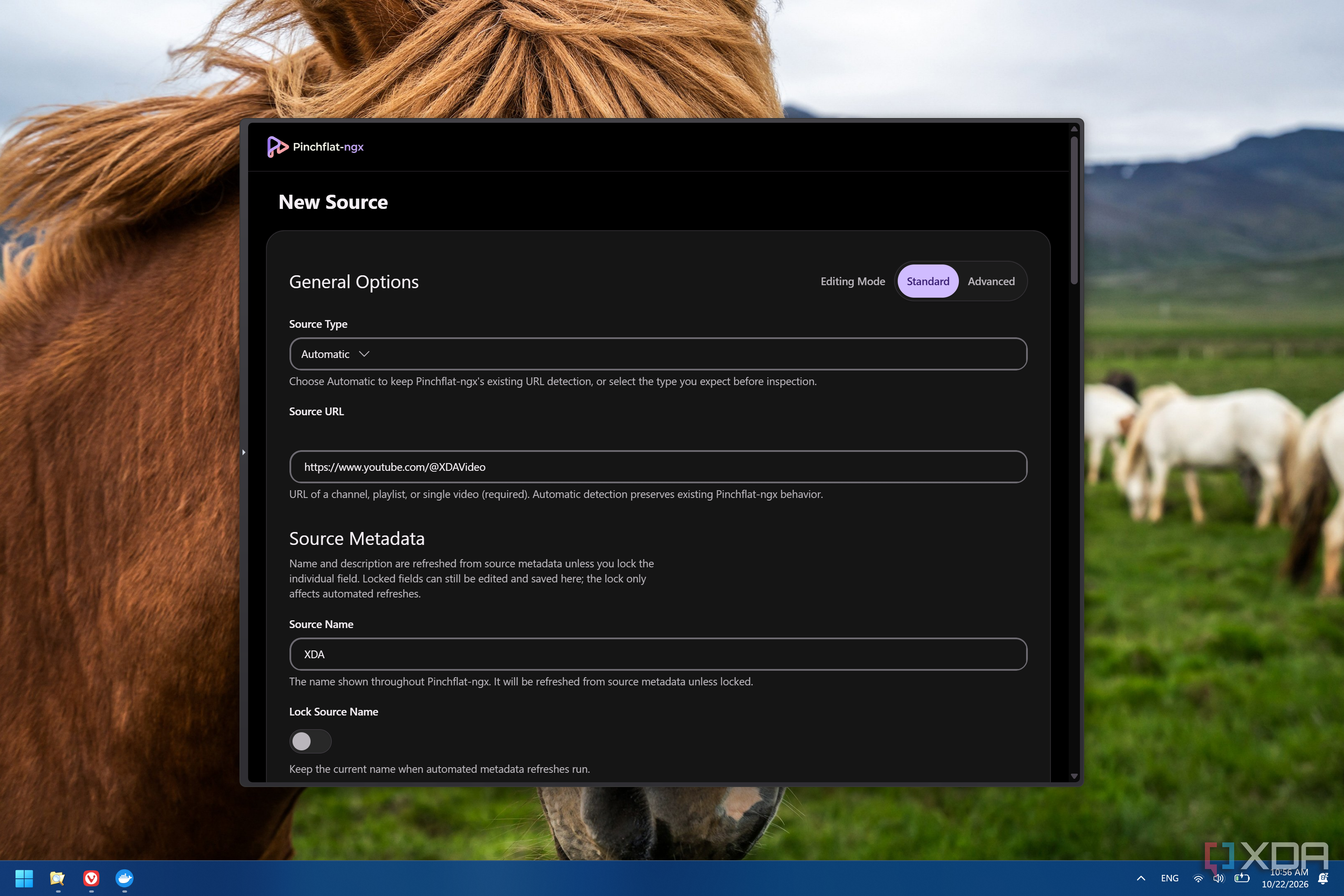 Screenshot of Pinchflat-ngx showing options for configuring a new source of media,