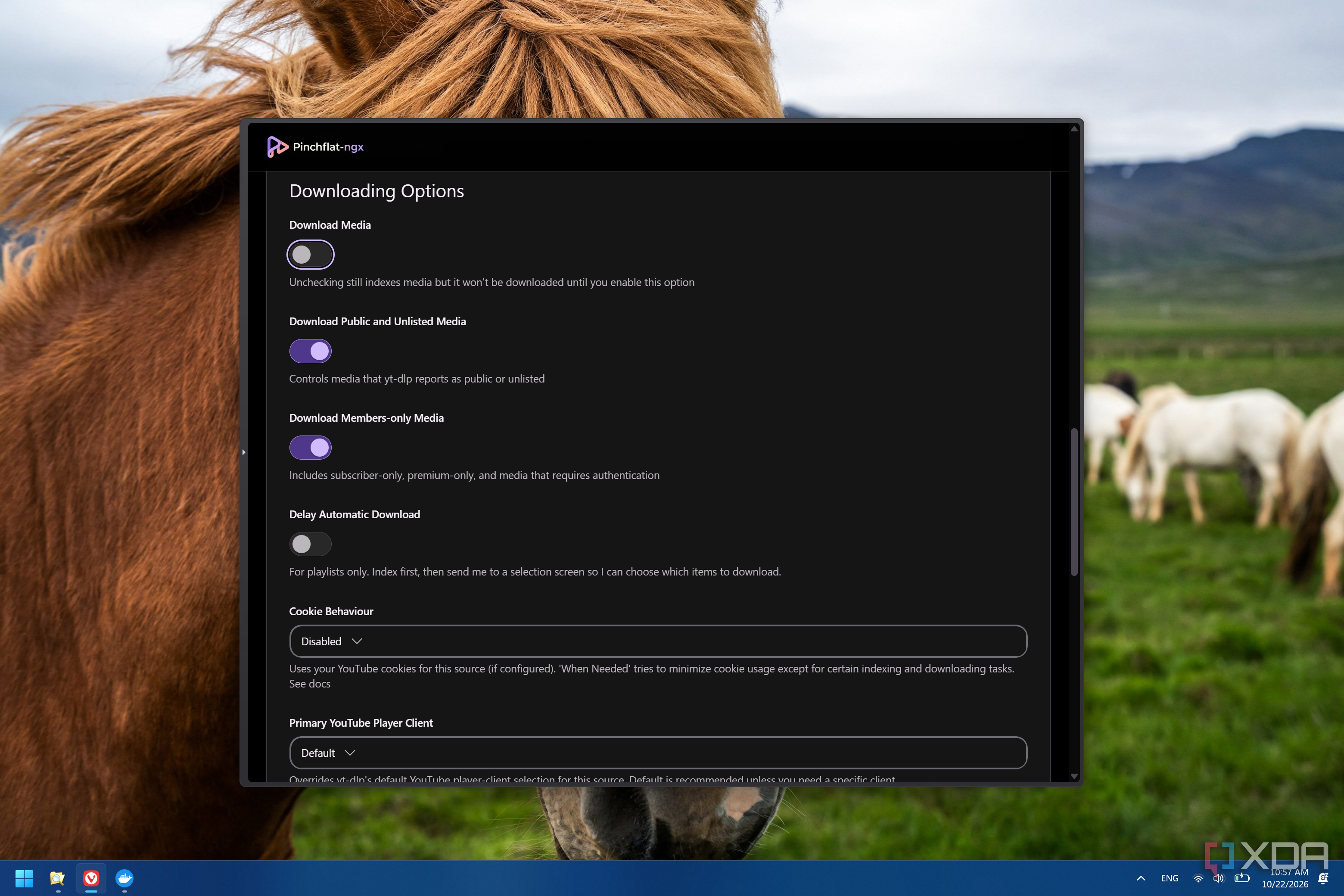 Screenshot of Pinchflat-ngx showing download options for a new media source, such as whether files should be downloaded automatically
