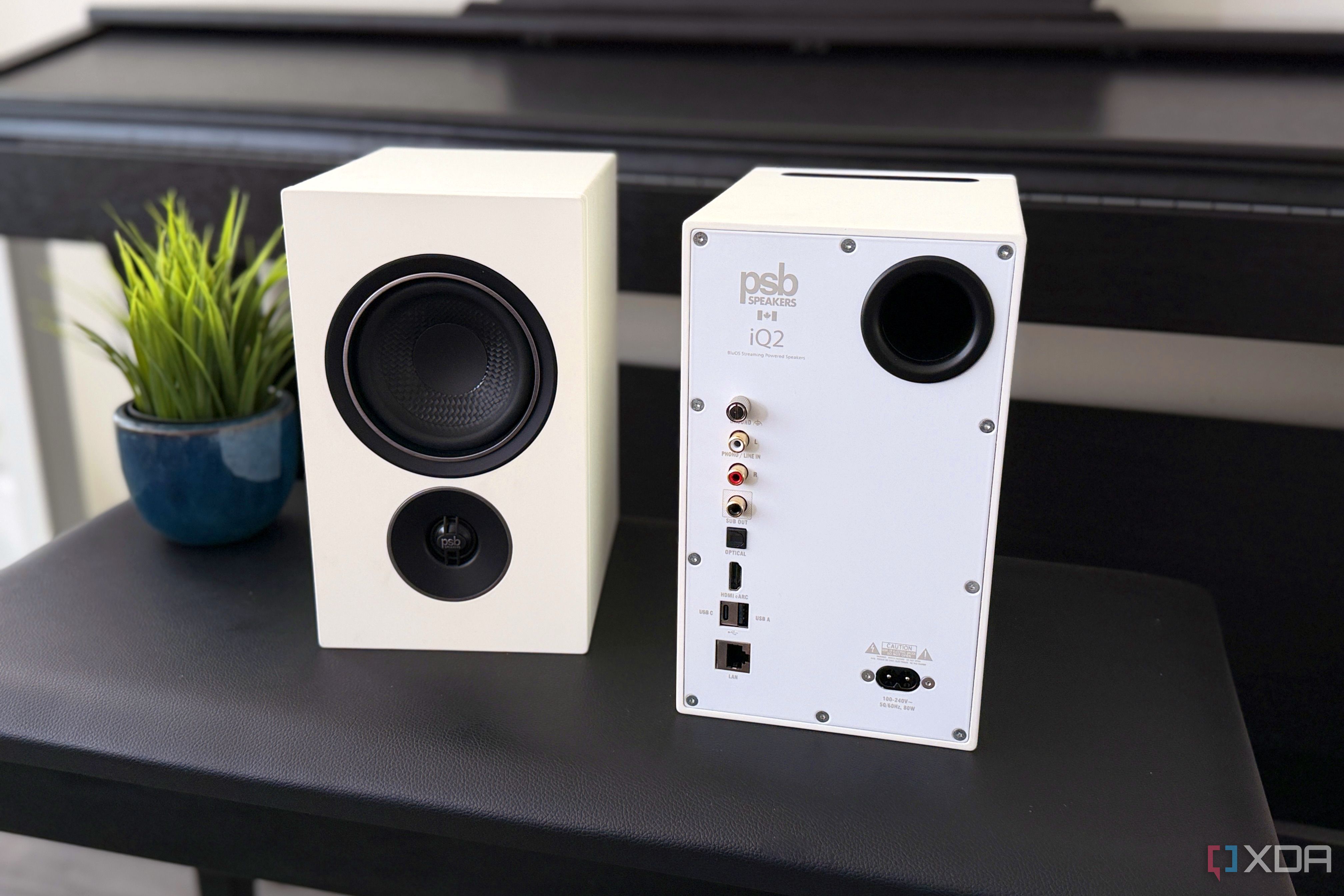 psb iq2 on a bench with the main speaker turned around to show the inputs