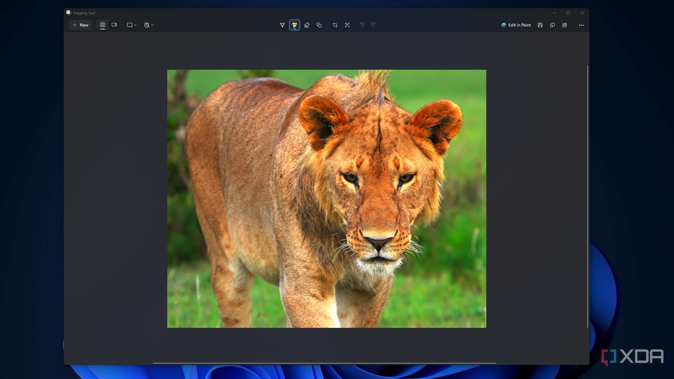 Snipping-Tool-HDR
