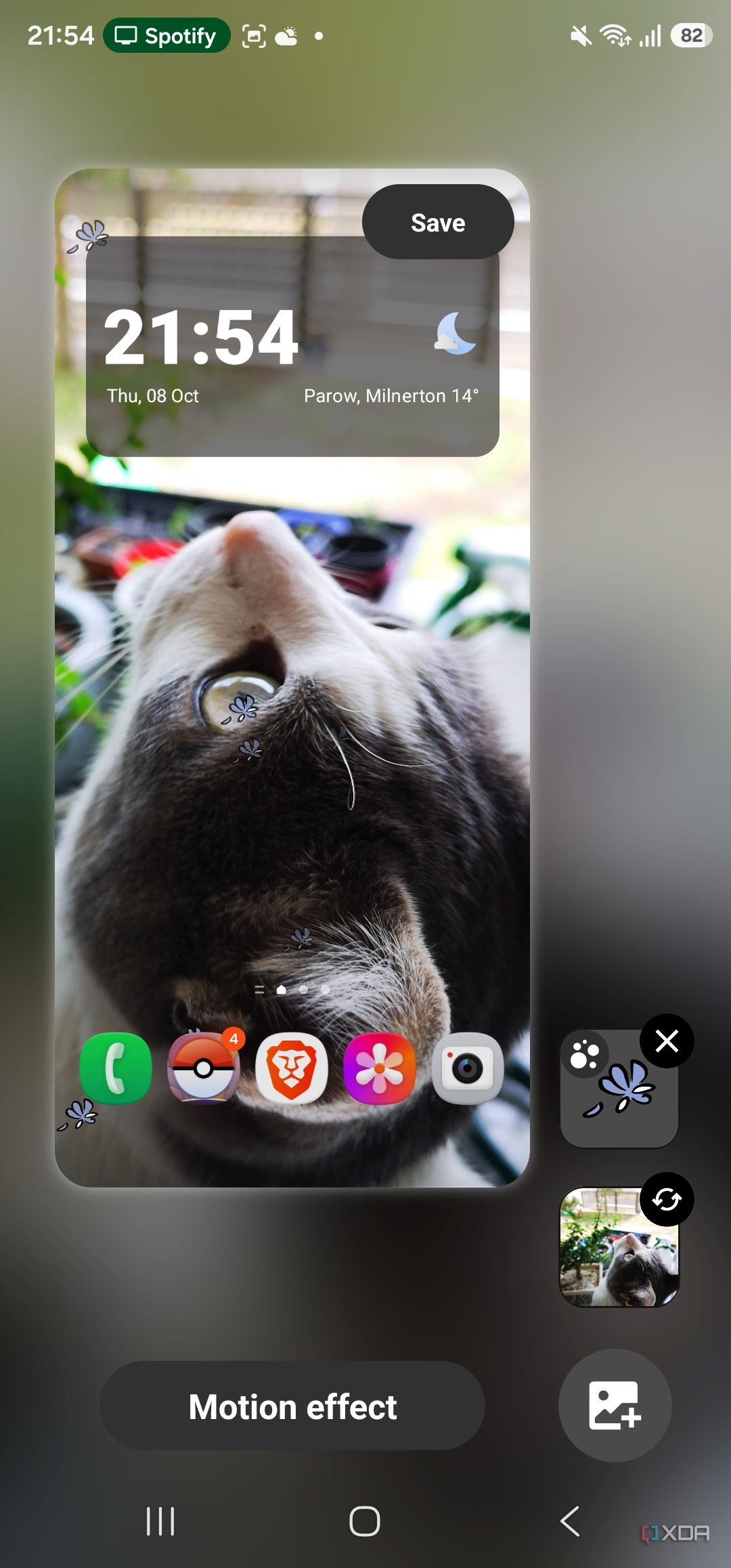 wallpaper in wonderland with one particle layer