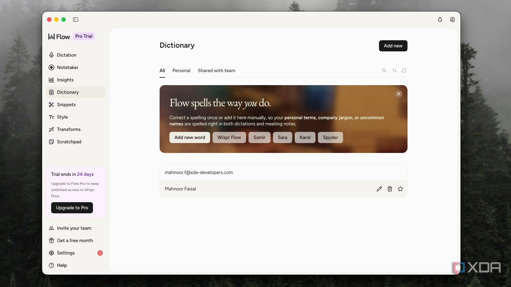 Wispr Flow Dictionary page listing a custom email address and name entry